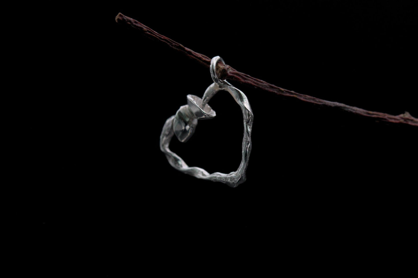 Fungi Pendant #28 - Twisted Heart