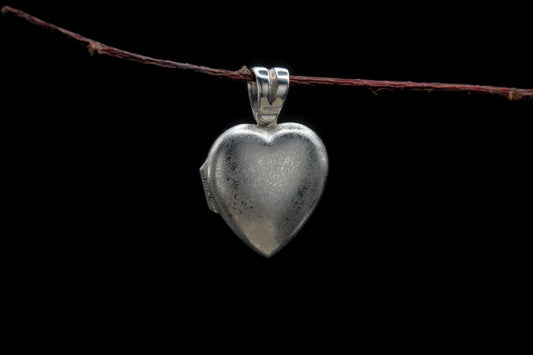 Heart of Fungi Locket