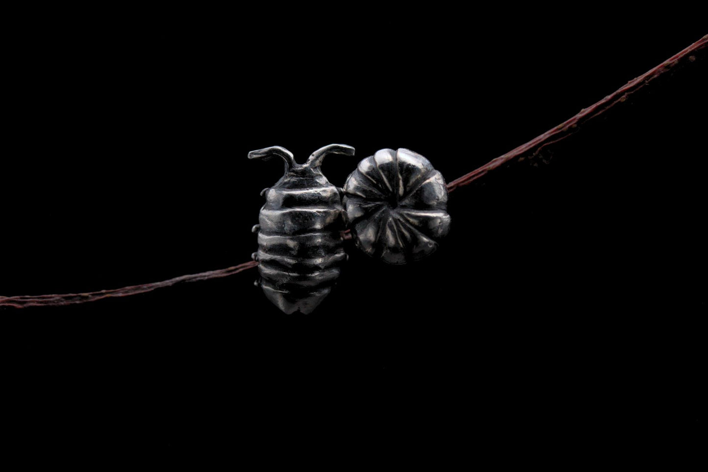 Curious Critters Isopod Earrings