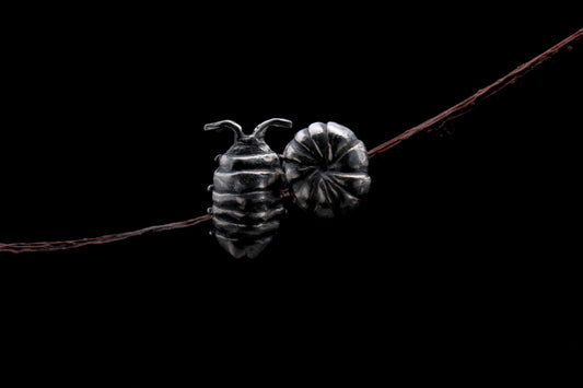 Curious Critters Isopod Earrings