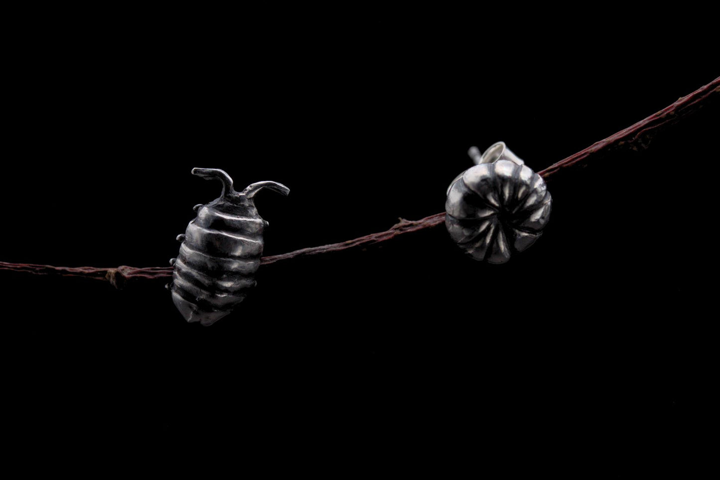 Curious Critters Isopod Earrings