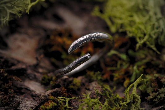 Curious Worm Ring