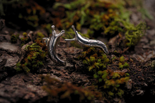 Curious Slug Earrings