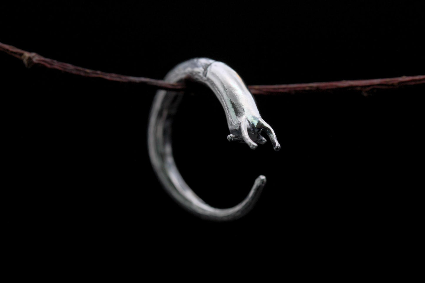 Curious Slug Ring - Size N/O