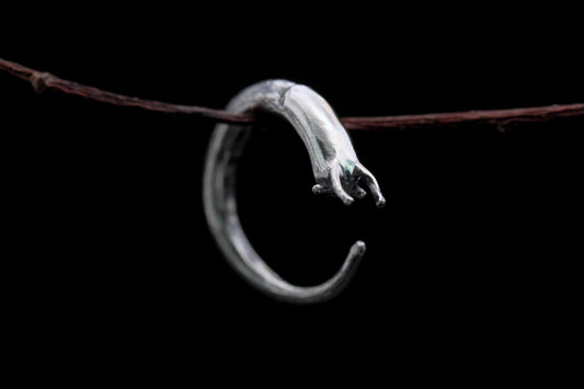 Curious Slug Ring - Size N/O