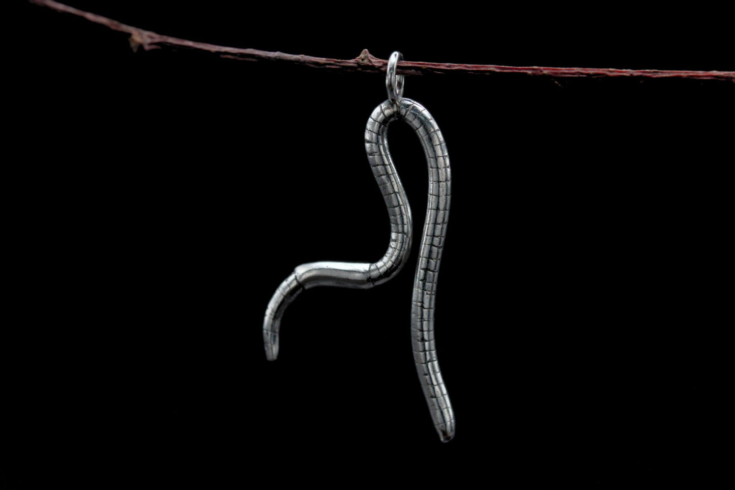 Curious Worm Pendant #3