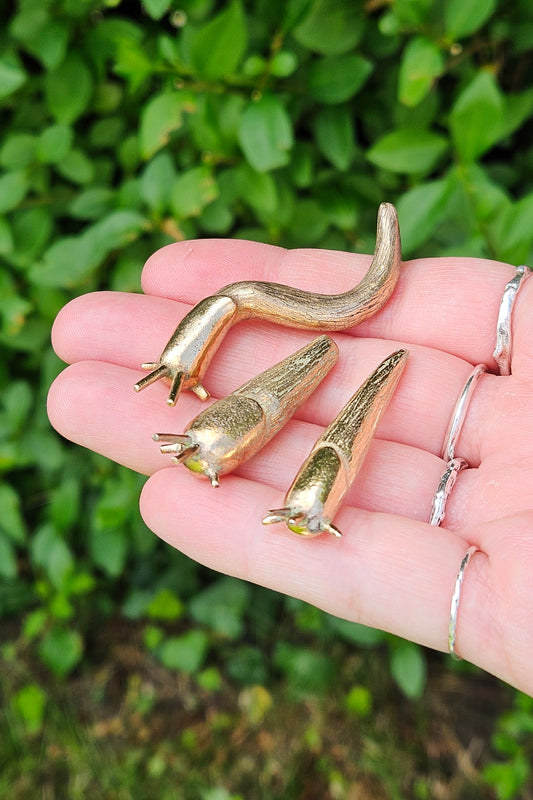 Slug Trinket - Bronze