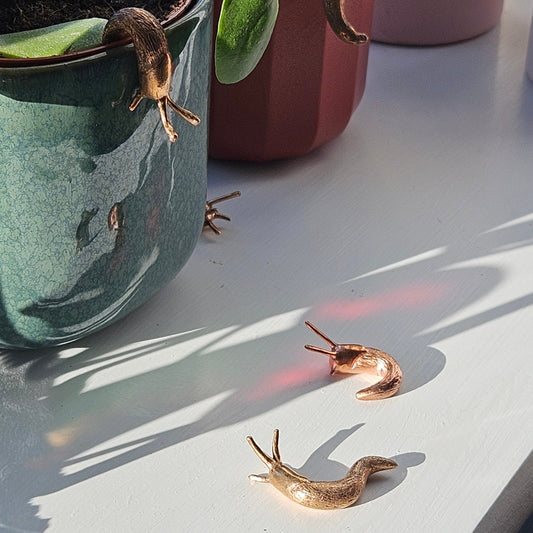 PRE-ORDER: Slug Trinket